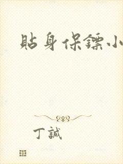 贴身保镖小说