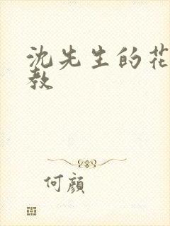 沈先生的花式调教封面