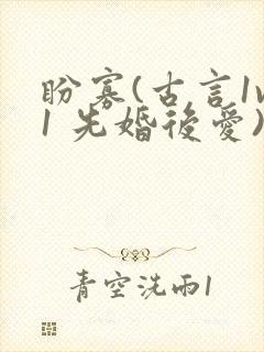盼寡(古言1v1 先婚后爱)荔枝好多封面