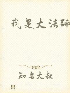 我是大法师封面