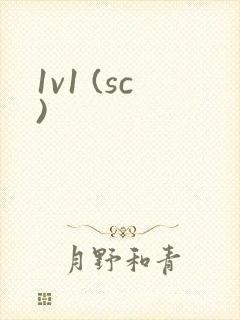 1v1 (sc)