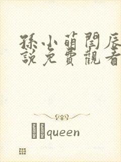 孙小萌闫辰的小说免费观看封面