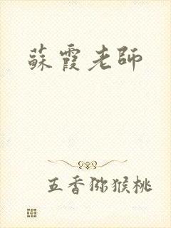 苏霞老师