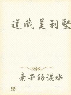 道藏美利坚封面