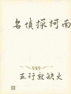 名侦探柯南h