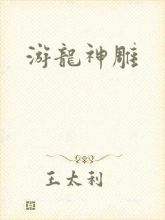 游龙神雕封面