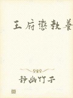 王府惩教养日常