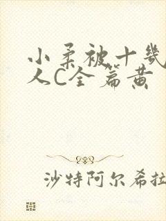 小柔被十几个男人C全篇黄封面