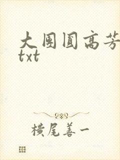 大团圆高芳小说txt
