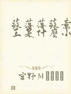 苏落落苏意瑶睿王是什么小说封面