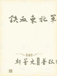 铁血东北军