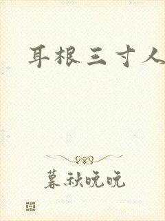 耳根三寸人间
