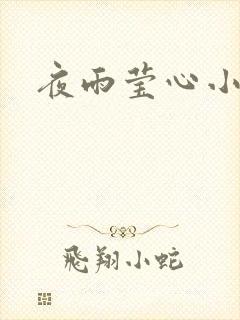 夜雨莹心小说