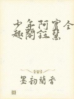 少年阿宾全文笔趣阁钰慧封面