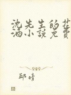 沈先生的花式调酒小说免费阅读