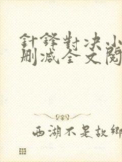 针锋对决小说未删减全文阅读