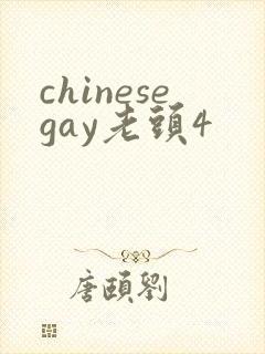 chinesegay老头4