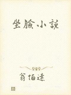 坐脸小说封面