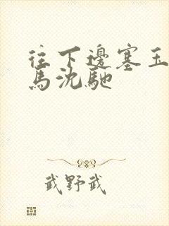 往下边塞玉器骑马沈驰