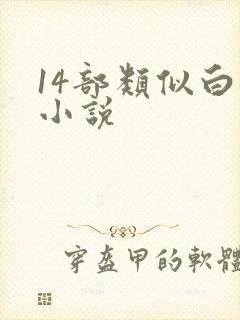 14部类似白洁小说