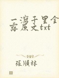 一泻千里金银花露原文txt