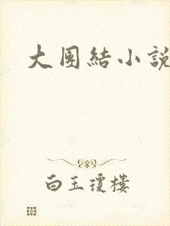 大团结小说全文封面