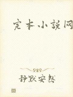完本小说网封面