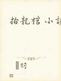 抬龙棺 小说