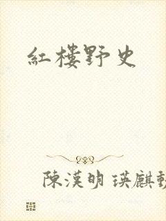 红楼野史封面