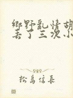 乡野乱情胡秀英丢了三次小说封面