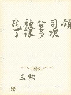 我被公司领导C了很多次