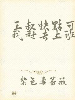 王叔快点可以吗我赶去上班