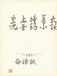 皇上撞着太子妃沈音的小说叫什么
