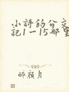 小诗的公交车日记1一15哪里能看
