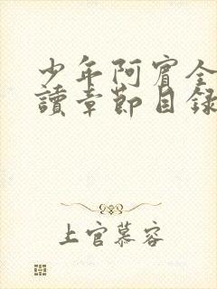 少年阿宾全文阅读章节目录封面