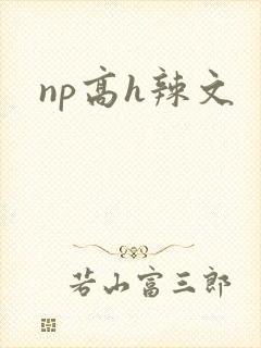 np高h辣文