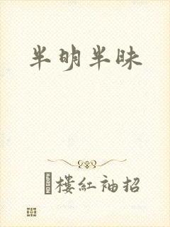 半明半昧