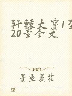 轩辕大宝1至720章全文封面