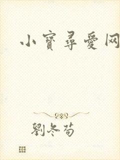 小宝寻爱网