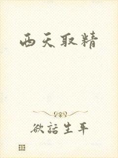 西天取精