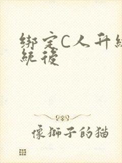 绑定C人升级系统后