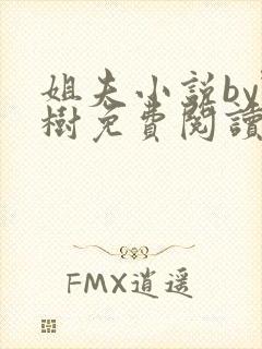 姐夫小说by野树免费阅读全文