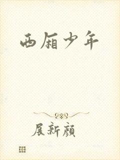 西厢少年