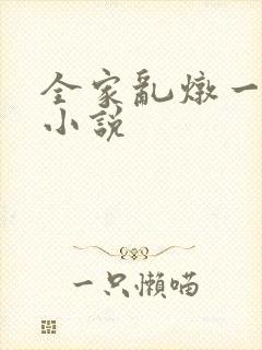全家乱炖一锅烩小说