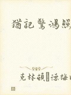 犹记惊鸿照影