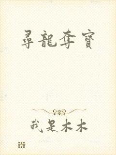 寻龙夺宝封面