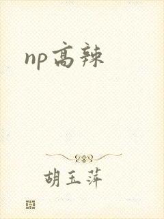 np高辣