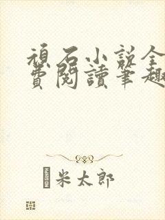 顽石小说全文免费阅读笔趣阁