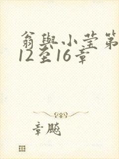 翁与小莹第十部12至16章