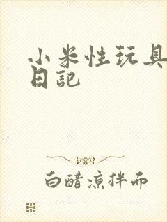 小米性玩具羞辱日记
